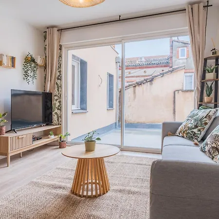 T3 Tropical Avec Parking Gratuit, Terrasse Et Wifi * Toulouse